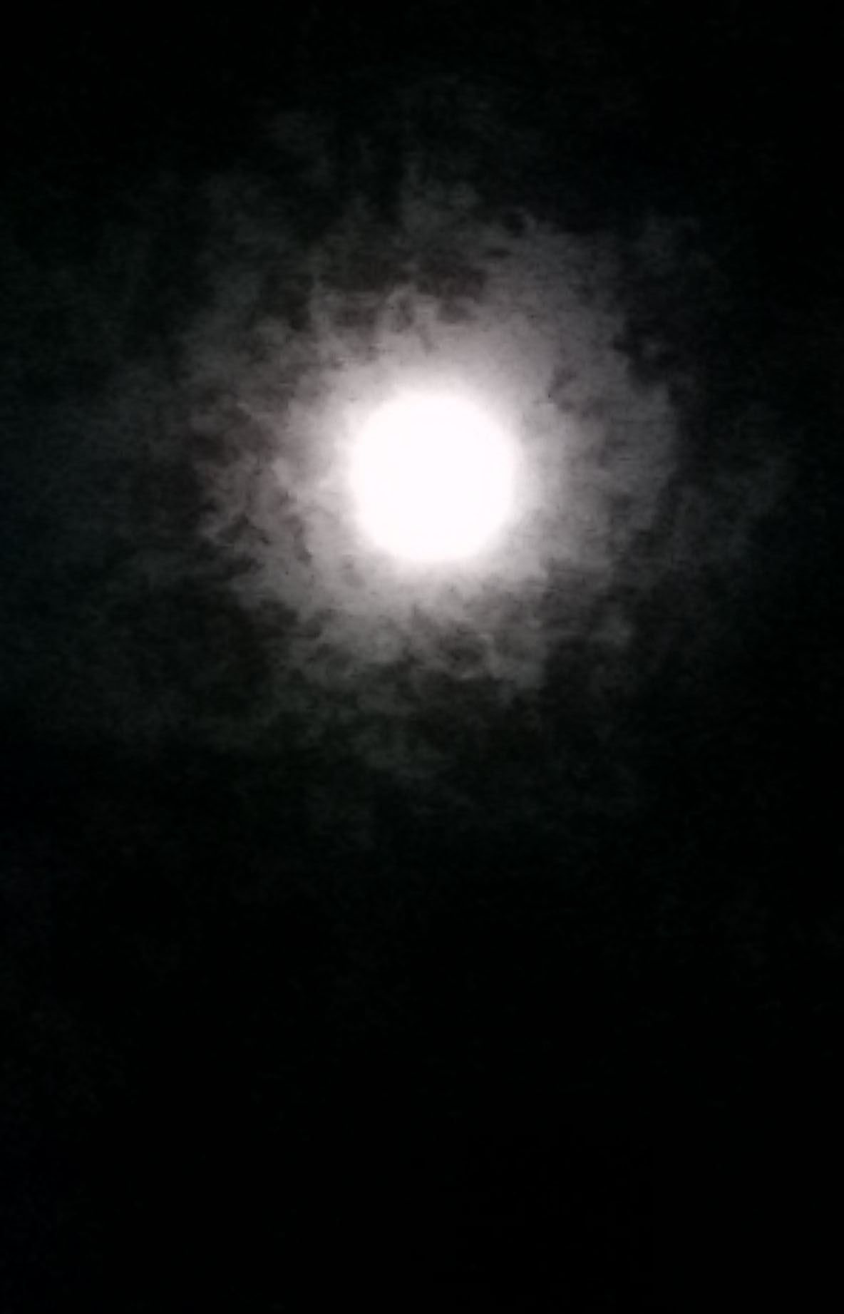 moon in back yard
