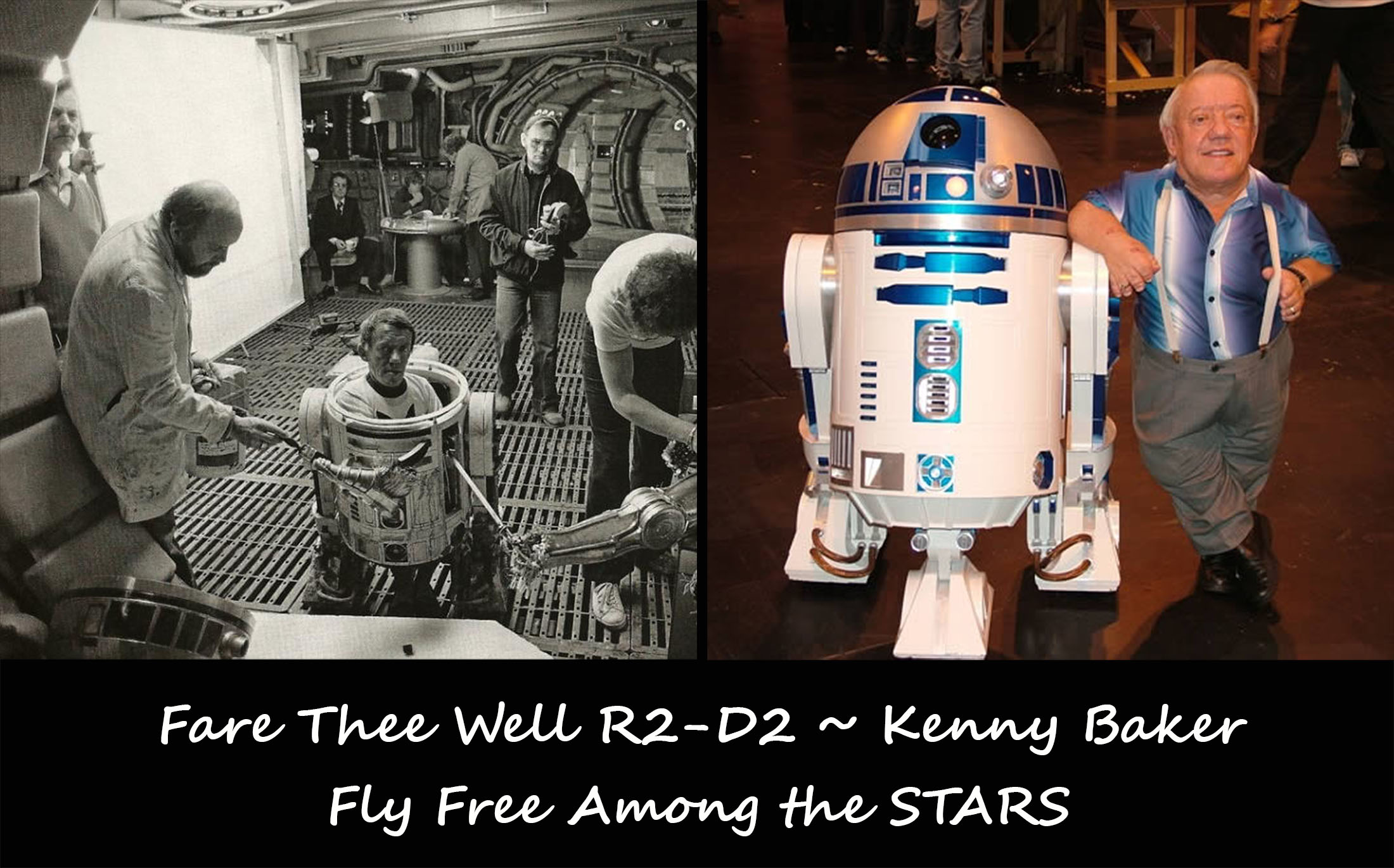 R2--D2 Blog fly Free