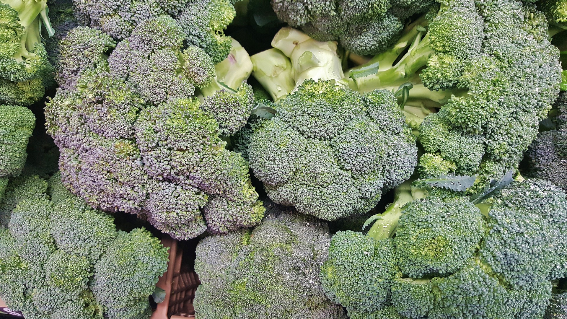 broccoli-healthy-veggies-colon+health-debadotell