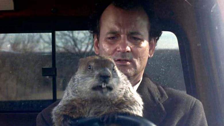 groundhog-day-2017-Punxsutawney+Phil-DebaDoTell