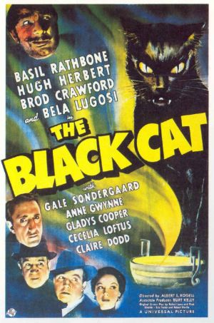 Blackcat1941