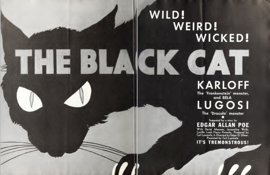 the-black-cat-universal-weekly-february-17-1934-3