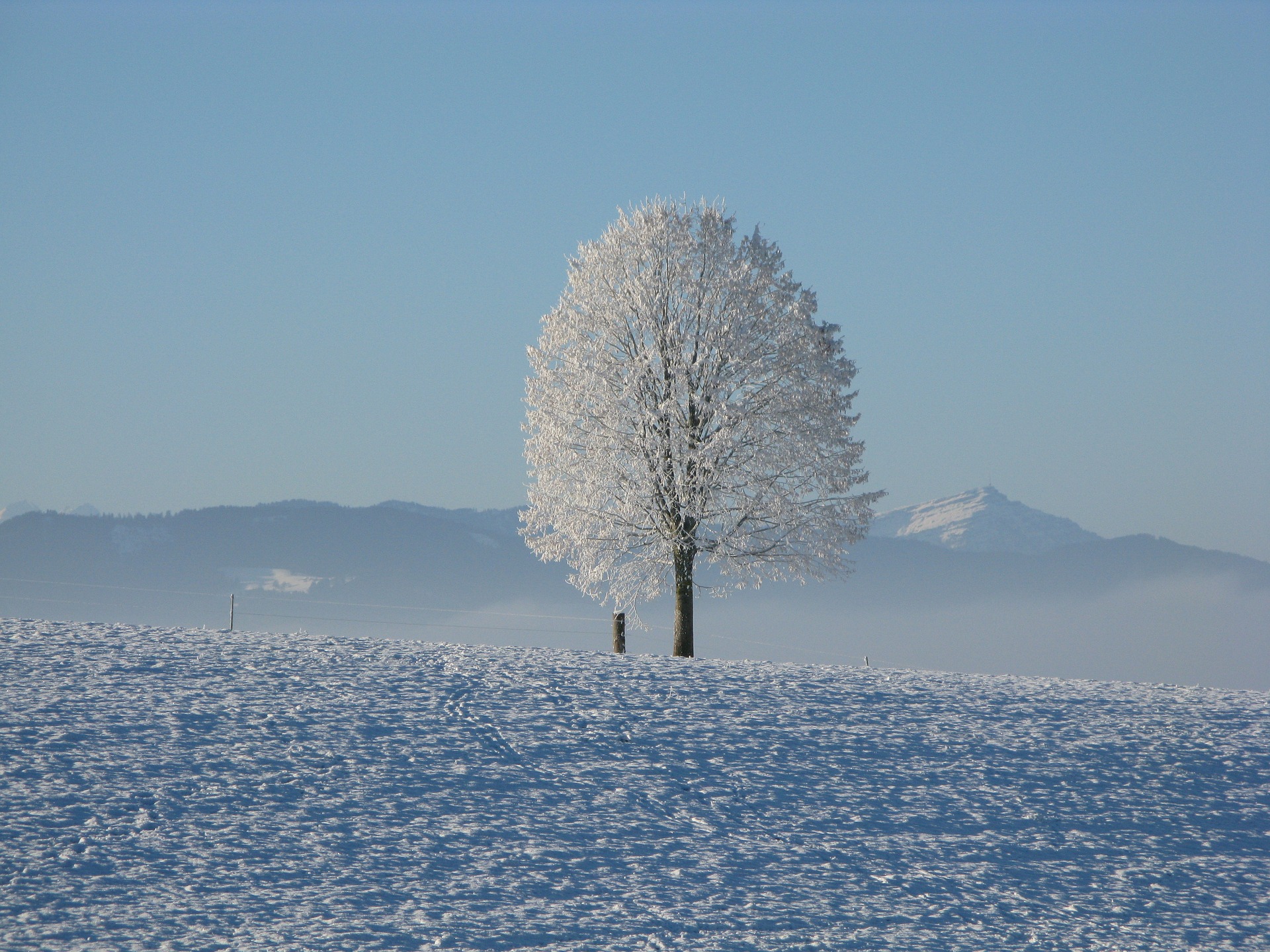 winter-beauty-snow-winter+wonderland-DebaDoTell