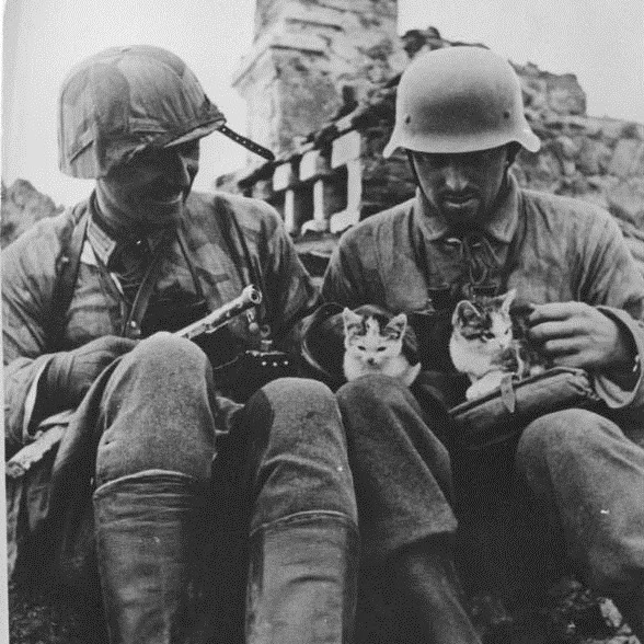 Vintage Soldiers and Kitties - DebaDoTell blog - Deborah+Reed